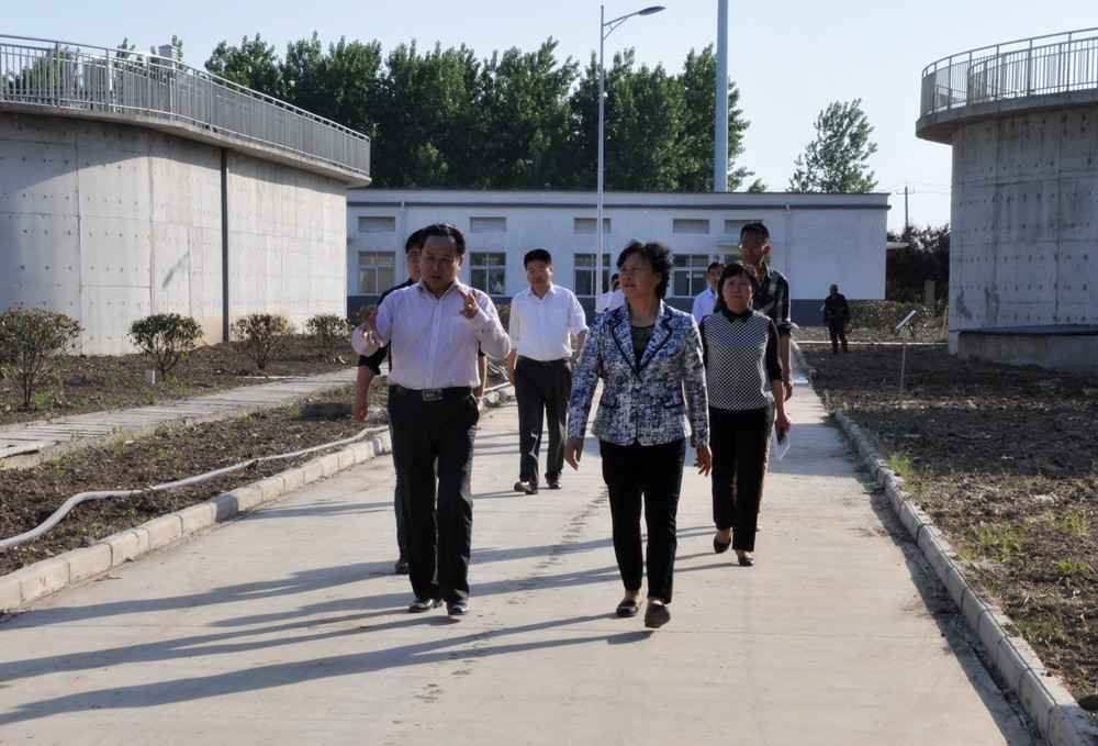 DSC_0049_副本.jpg DSC_0049_副本.jpg